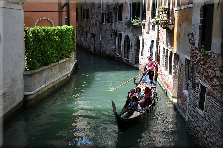 foto Venezia